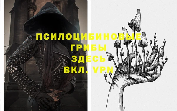 ALPHA-PVP Верхний Тагил