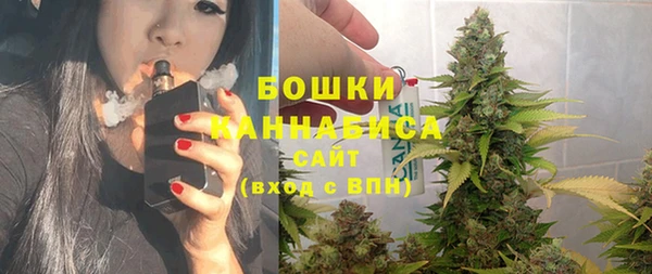 прущий лед Верея