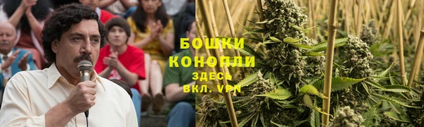 прущий лед Верея
